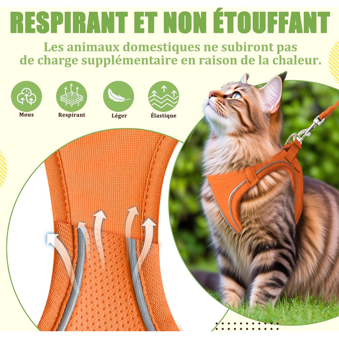 Нашийник для котів Qianruida з повідком, регульований, зручний, дихаючий, світловідбиваючий (Помаранчевий, XS)