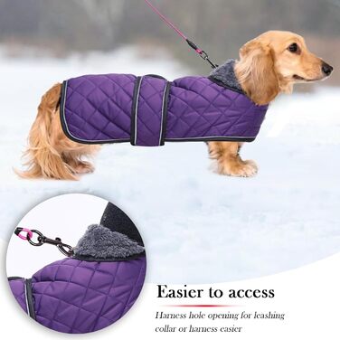 Зимовий теплий одяг для такс (дрібних та середніх) - куртка з плюшем, регульованим поясом та отвором для повірця, Geyecete, колір: зелений, розмір: L, фіолетовий