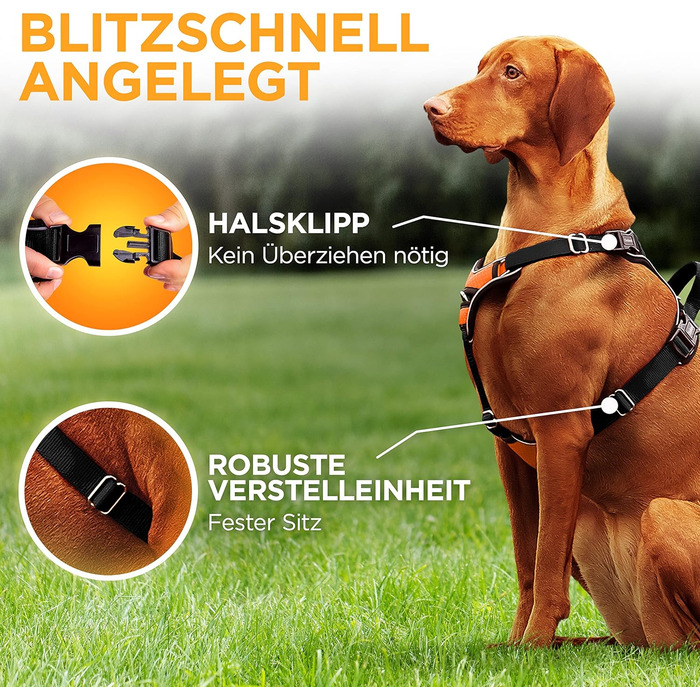 Шлейка для собак - світловідбиваюча, з м'якою підкладкою, для собак різних розмірів, помаранчевого кольору