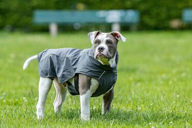 Водонепроникна куртка для собак CHIARA Finn, розмір XL, сірий колір. З флісовою підкладкою, відбиваючими смугами, для будь-якої породи. Машинне прання.