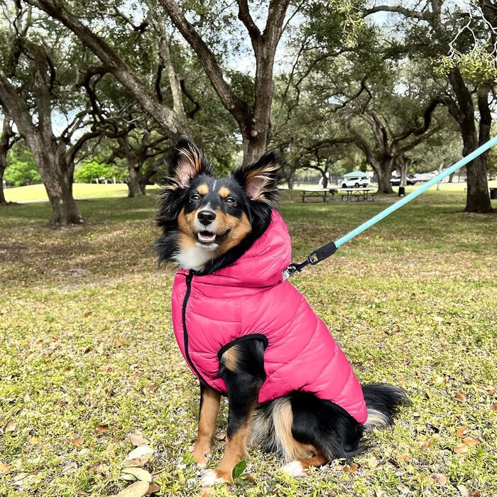 Ветровка для собак Pawtitas: вітронепроникна, водовідштовхувальна, тепла, для цуценят та великих порід, з кишенею, чорно-блакитно-зелена, XX-Large (1 шт.)