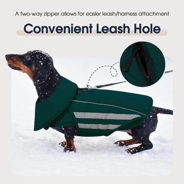 Зимовий теплий куртка для собак Pitbull, водонепроникний, вітронепроникний, світловідбиваючий, регульований, з флісовою підкладкою, для активного відпочинку, колір зелений, розмір XL