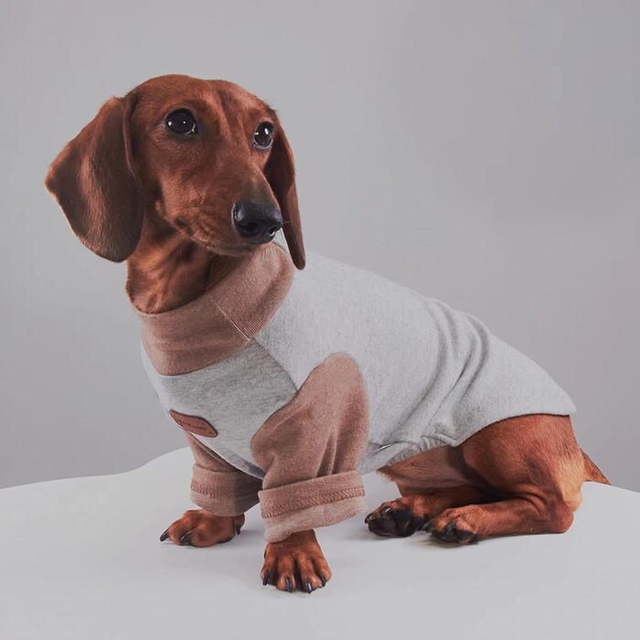 Світшот для собак Dacke-Hemd, бавовна, теплий одяг для собак середніх та дрібних порід, весняно-осінній, двосторонній комбінезон (колір: Кофе, розмір: XL)