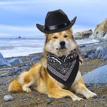 Костюм ковбоя для собак та котів Yewong, 2 шт. (капелюх + бандана)