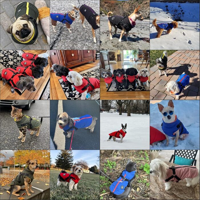 Тепла куртка для собак Norbi, жилет-шлейка для маленьких собак, теплий зимовий костюм 2 в 1, куртка для холодної погоди (M, чорний)