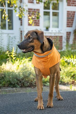 Вольтерс Куртка Outdoor, Класичний Стиль, Оранжевий, Розмір 52