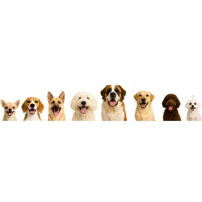 Лежак для собак Doggy, бежевий, 114 см x 94 см