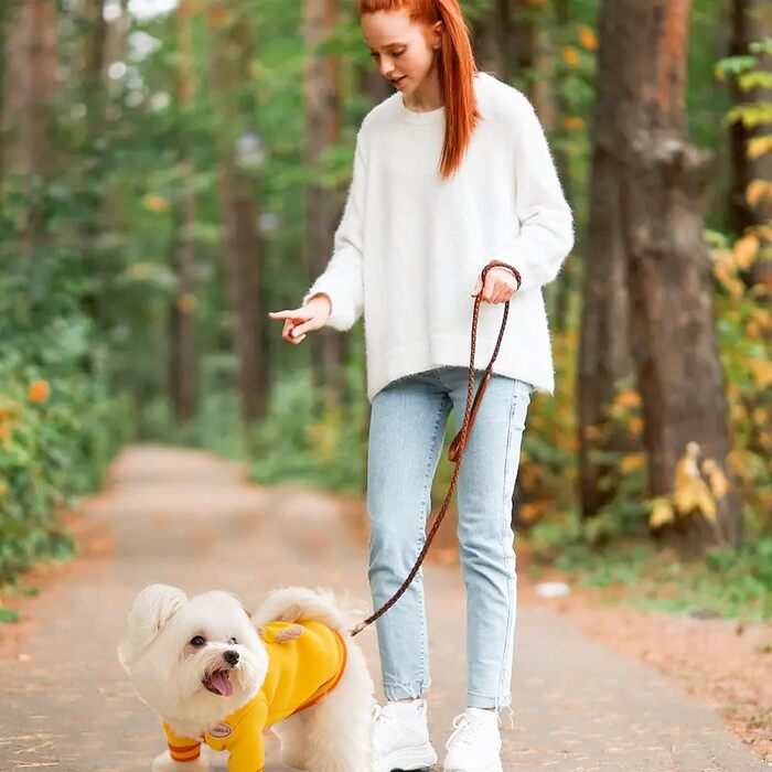 Жовтий зимовий пуловер для собак з кільцем D, теплий светр для маленьких собак та котів (XS), м'який, з софту