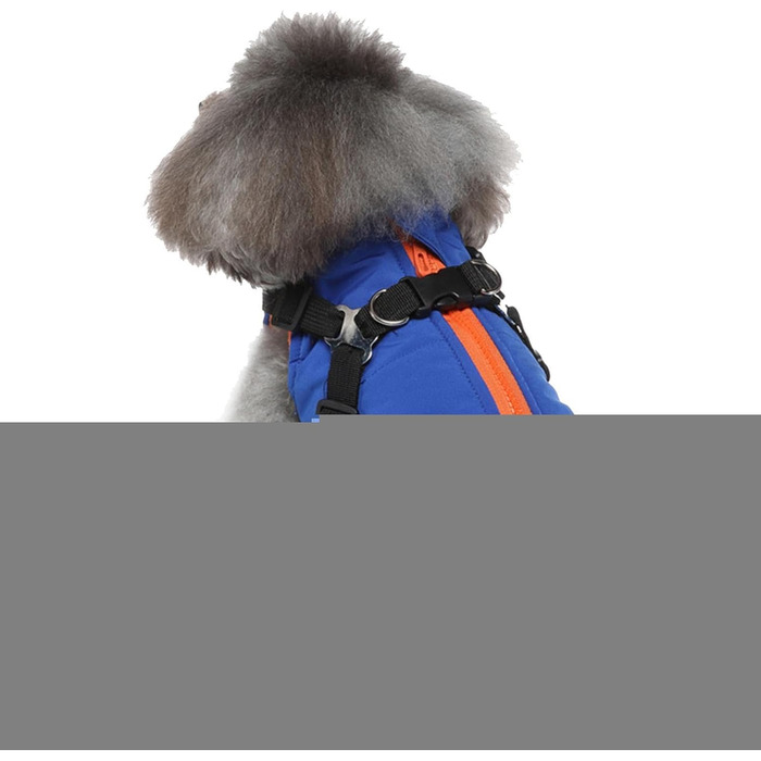 Теплий жилет для собак з шлейкою, водонепроникна куртка з шлейкою та D-подібними кільцями, теплий жилет для собак, одяг для собак, середні та великі породи, зелений (синій, XL)