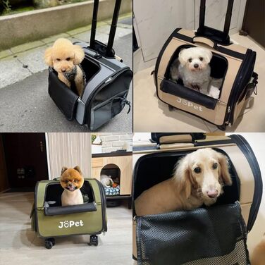 Транспортувальна сумка для тварин на колесах, рюкзак для собак та котів, маленька переноска для собак, переноска для котів, знімні колеса, сумка для подорожей, візок для тварин, м'яка переноска на колесах, оливковий (Latte White)