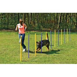 Karlie Agility Slalom - іграшка для аджиліті, жовто-блакитна