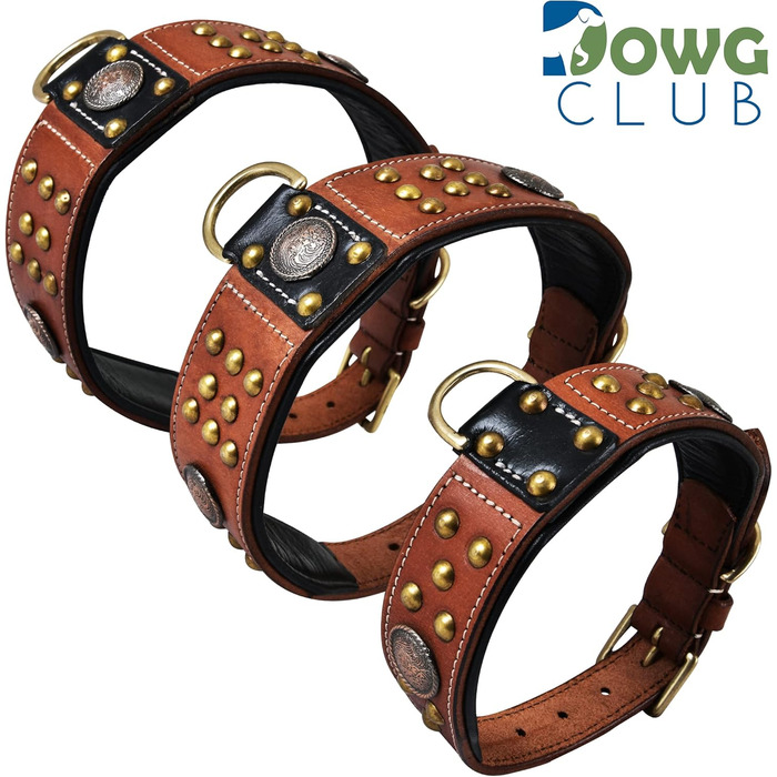 Шкіряний нашийник для собак DowgClub Cupola, кельтські кончо, золоті купольні заклепки, м'яка підкладка, ручна робота, сієнна, 57 см, для середніх і великих порід