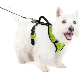 Шлея для собак PetSafe Easysport, регульована, нейлонова