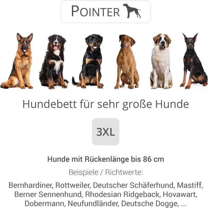 Ортопедичне ліжко для собак середнього розміру - ліжко з знімним матрацом, прання до 95°C, сушка в сушильній машині, стійке до подряпин та укусів, Made in Germany (XXXL - 110x100 см, Антрацит)