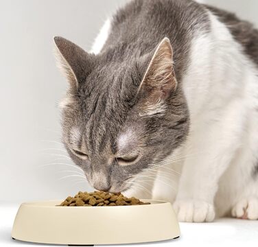 Миски для котів CatGuru Schnurrhaar, широкі, антистресові, нековзкі, набір 2 шт., пісочний колір