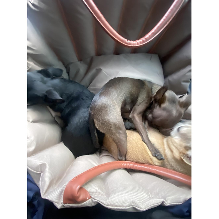 Автомобільний лежак для собак у вигляді накидки на сидіння, 55x42x42 см, темно-хакі