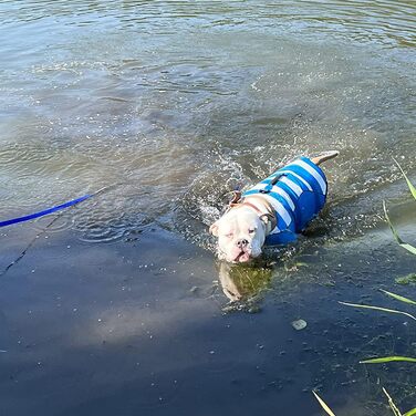 Жилет для плавання собак, блакитний, з Airbag та світловідбиваючими смугами (M)