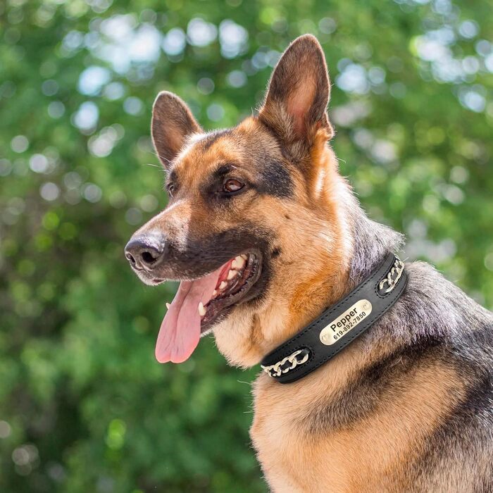 Didog нашийник для собак з натуральної шкіри, плетений, персоналізований з іменною гравірувальною пластиною, регульований, міцний, для середніх і великих порід, чорний, L (обхват 43-51 см, ширина 3,2 см)