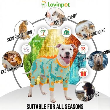 Комбінезон для собак великих порід LovinPet: дихаючий, з UV-захистом, антибактеріальний, для відновлення після операцій, зелено-помаранчевий, XX-Large