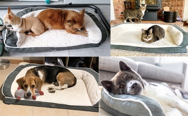 Ортопедичне ліжко для собак PECUTE LEGOWISKO, розмір M