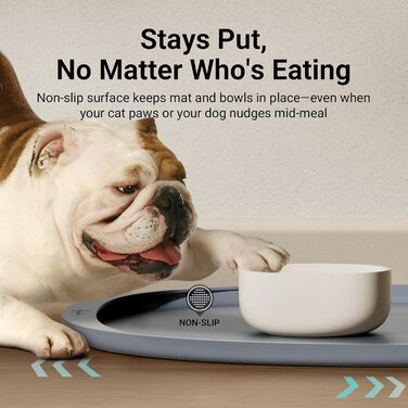 Килимок для годування домашніх тварин DownyPaws: антиковзаючий, вологостійкий, з високим бортиком, 61x43 см, сірий
