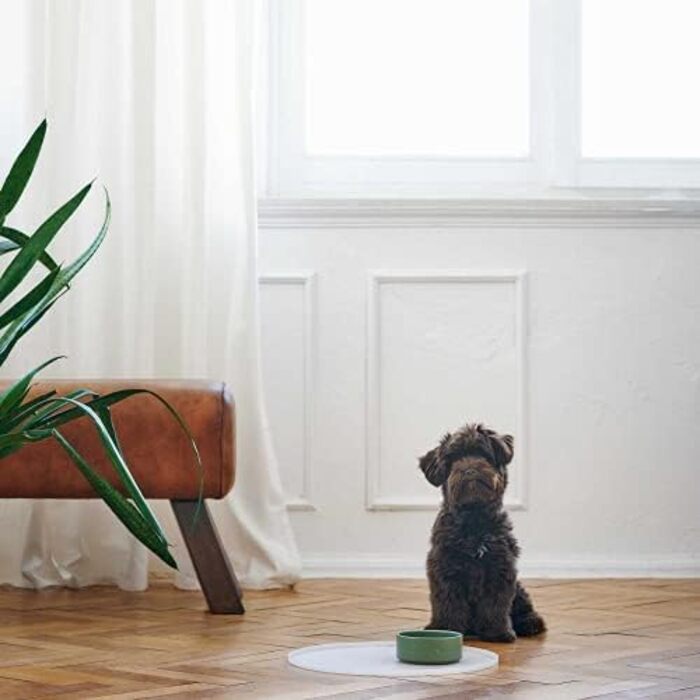 Підкладка для сонячних окулярів HUNTER Selection кругла, прозора (38 см)