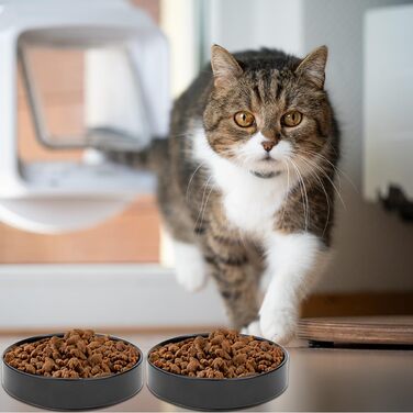 Котловий набір з кераміки для котів та кошенят (чорний), 15 x 4 см