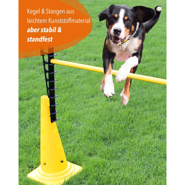 Кільцеподібна перешкода Sportikel24 для аджиліті з жердиною 100 см – для собак, коней та дітей