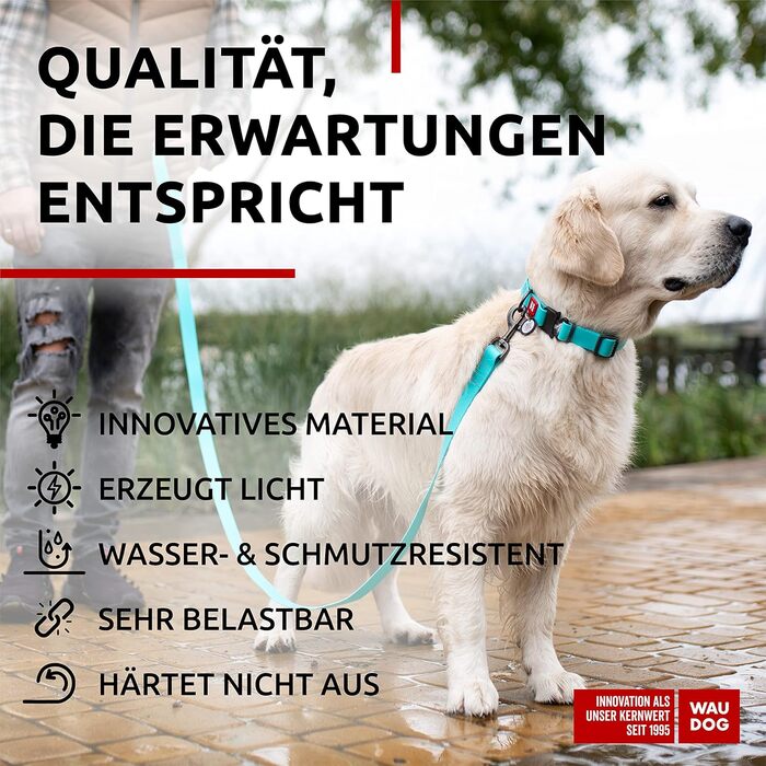 Водонепроникний нашийник для собак WAUDOG: великі, середні та малі породи, регульований, металевий замок, 31-49 см, ширина 25 мм, світловідбиваючий