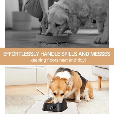 Килимок для годівлі собак та котів, 60 x 40 см, водопоглинаючий, неслизький, великий, для мисок, легко миється, швидко сохне (бежевий)