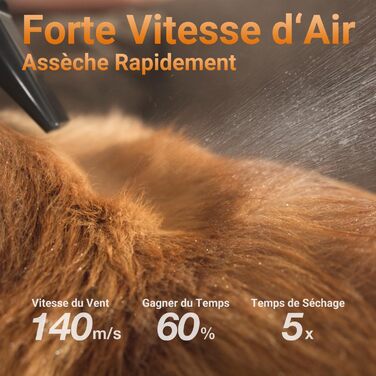 Фен для собак P40, тихий (40 дБ), 3 насадки, регулювання швидкості та температури, іонізація, портативний, для собак та котів, чорний