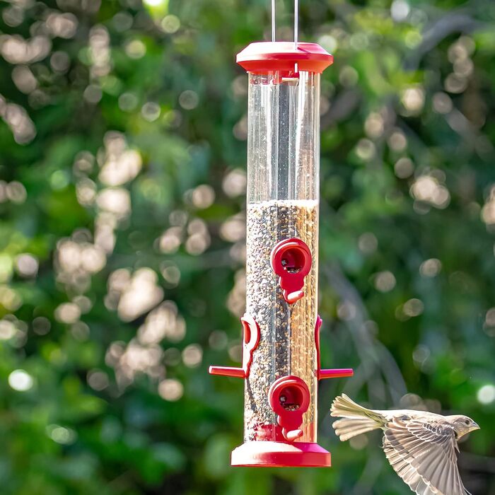 Годівниця для птахів Kingsyard 2 шт. 38 см - з 6 посадковими прутами, годівничка для диких птахів, для насіння, цілорічне годування, для саду/тераси/балкону, зелена (прозора трубка, червона)