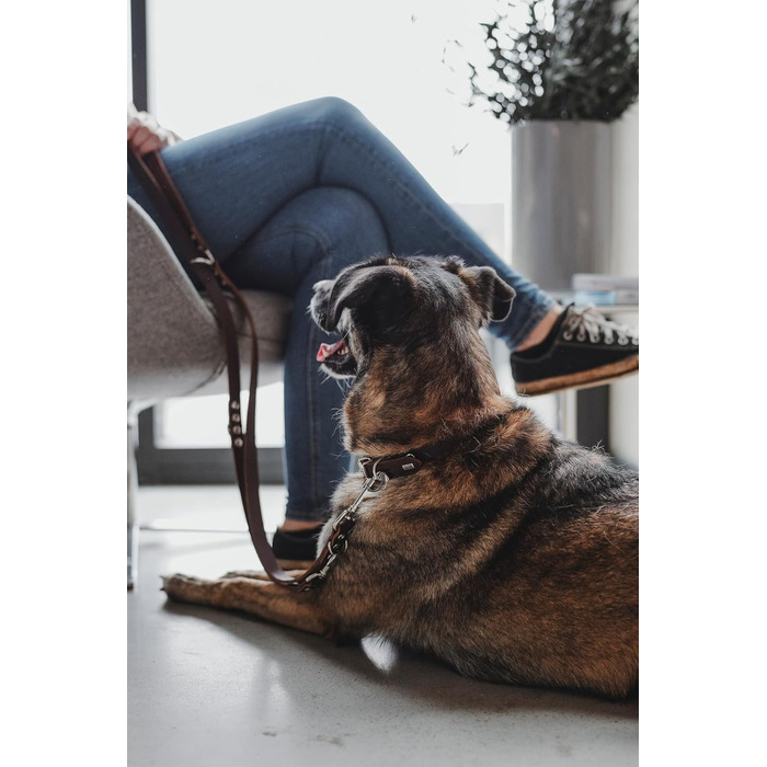 Нашийник для собак HUNTER Grenada з натуральної шкіри, темно-коричневий, ручної роботи, Німеччина, для тренувань та повсякденного використання, міцний, комфортний, розмір XS-S, обхват 28-32 см