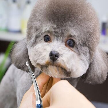 Набір для грумінгу собак Jiasoval 4-в-1: професійні ножиці, сталевий гребінець, сумка, безпечні кінчики