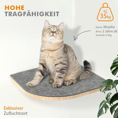 Комплект котячої стінки-драбинки Pawtasy для лазіння, натуральне дерево, до 35 кг