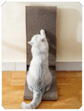 Низька кігтеточка K&M для котів до 60 см