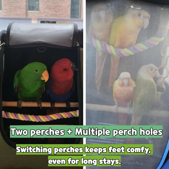Пташиний рюкзак-переноска Birds Day для папуг з 2 жердками та годівницею, нержавіюча сталь, темно-оливковий зелений