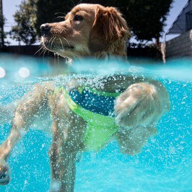 Рятувальний жилет для собак Outward Hound Standley Sport, зелений, розмір XL, водонепроникний, для плавання