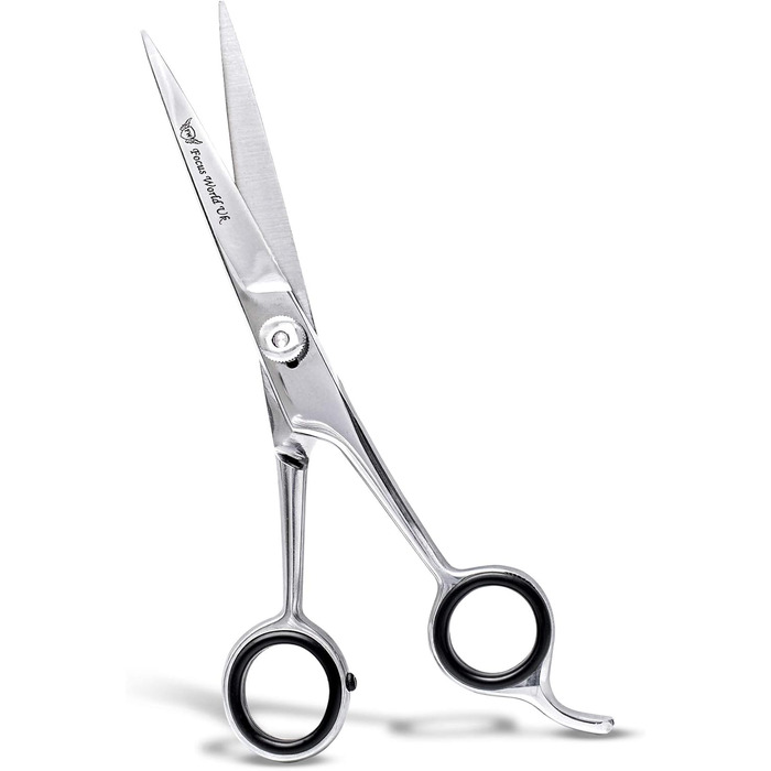 Професійні ножиці для волосся Focus World 6,5 дюймів (FW--01) - Японська сталь, срібло