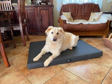 Килимок для собак Tina Grosse - лежанка для собак середніх та маленьких порід. Лежанка для собак з еко-шкіри, миється, водонепроникна, м'яка, довговічна, зносостійка, міцна (XXXL, 150x100x8 см, антрацит)