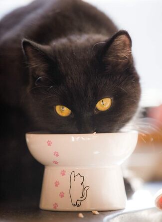 Підвищений годівниця для котів з порцеляни, антизворотний клапан, для вологого та сухого корму, безпечна та безстресова