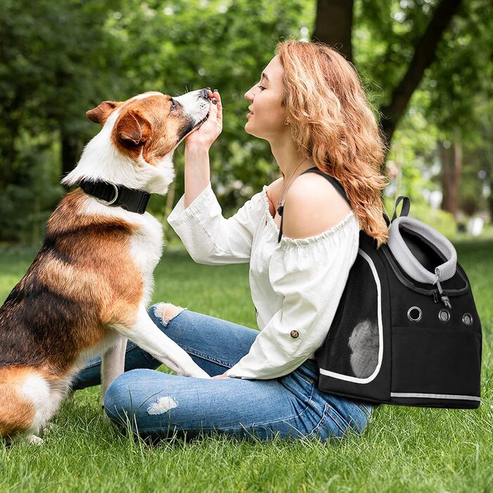 Рюкзак-переноска для тварин ALLSOPETS, дихаючий, для подорожей, для великих котів і малих собак, карбоново-чорний