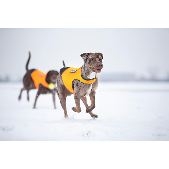 Одяг для собак Julius-K9 IDC Neopren, S, оранжево-чорний