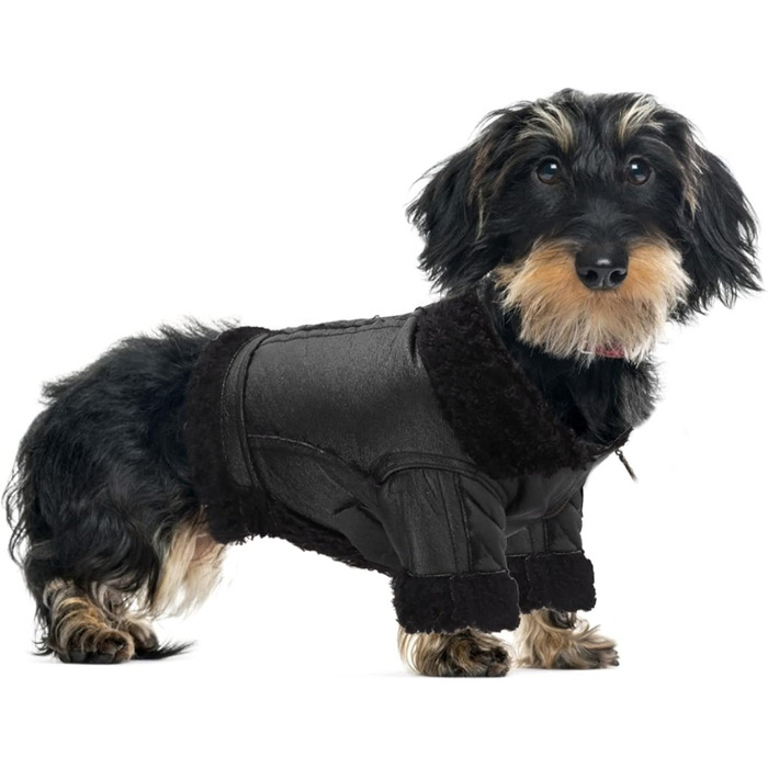 Зимовий теплий куртка для собак від TARSHYRY: шкіряна вітронепроникна модель для великих, середніх та маленьких собак. Стильний мотоциклетний одяг для тварин (S)