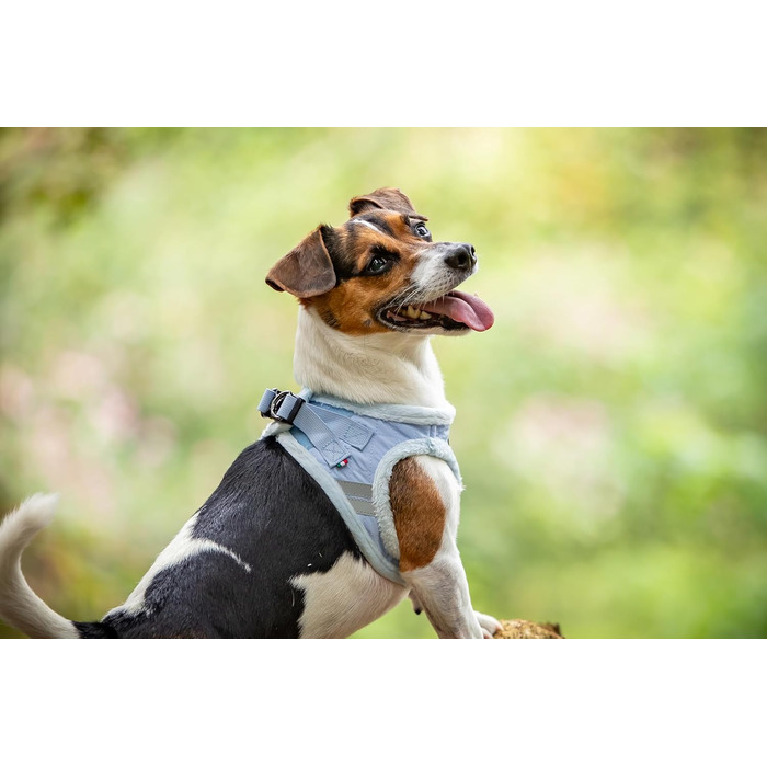 М'який нашийник для собак CHIARA MIA, розмір L, блакитний. Регульований, з водовідштовхувальним матеріалом та світловідбиваючими смугами.