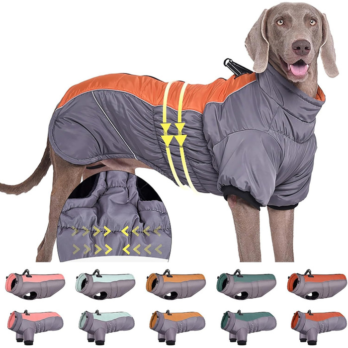 Зимові куртки для собак з шлейкою, теплі та зручні для холодної погоди. Відображають світло, підходять для малих, середніх та великих собак. Куртка, жилет, тепла шерсть, комфортний вибір для вашого улюбленця.