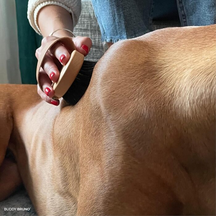 Щітка для короткошерстих собак і котів BUDDY BRUNO з натуральною щетиною, преміум для щоденного догляду за шерстю, з очищувачем, вироблено в Німеччині