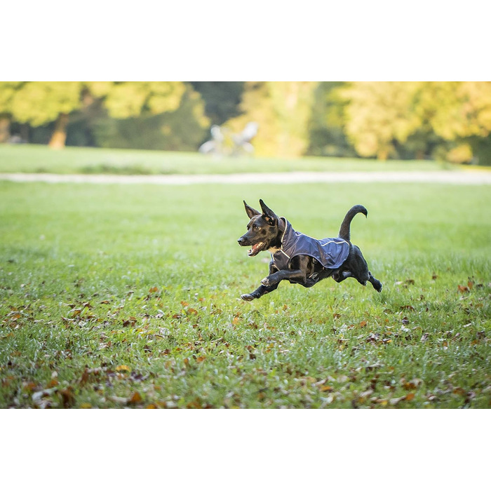 Чіара Честер: Перехідна куртка, спортивна, водонепроникна, з регулюванням, для спорту (XS, Navy Blue)