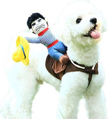 Костюм для собак Delifur: стиль ковбой/райдер, набір для Хелловін, розмір M