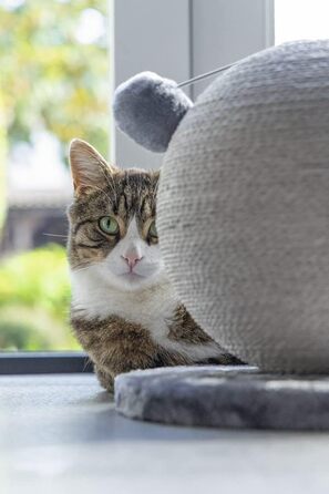 Karlie Kratzball Bolly - іграшка-царапка для котів, сіра, 30,5 x 30,5 x 28 см